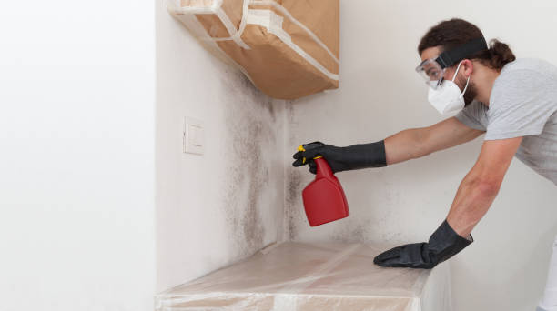 Professional Mold Cleanup technician working in Montvale, NJ