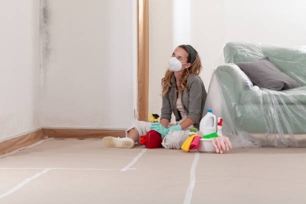 Reliable Mold Cleanup contractor in Montvale, NJ by Cheap Mold Removal